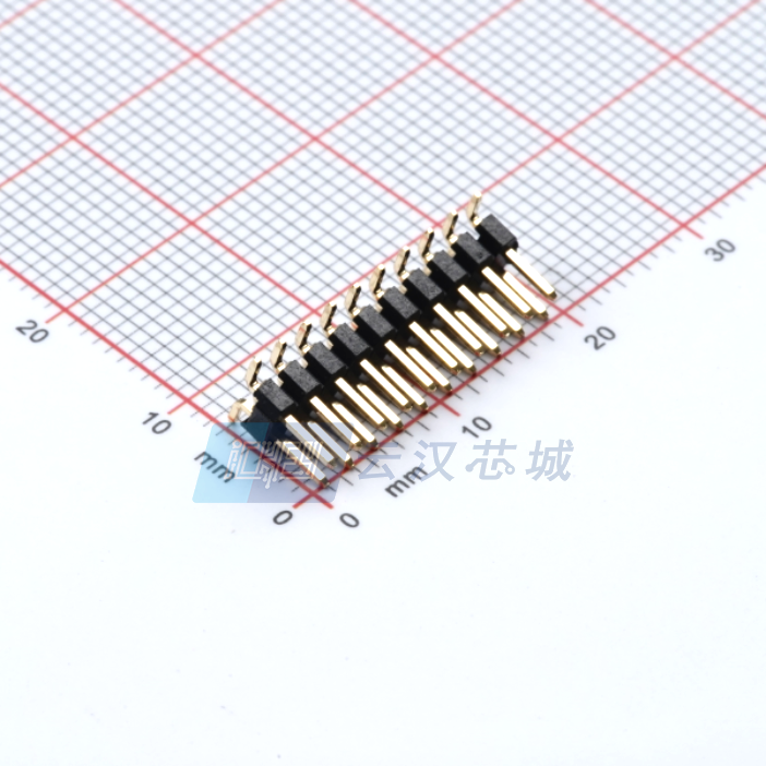 X4621WVS-2x10I-C40D64--云汉芯城ICKey.cn