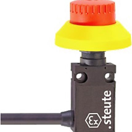 Ex 14 RUV-S 2O-5m--云汉芯城ICKey.cn